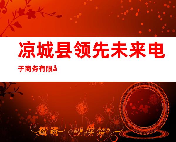凉城县领先未来电子商务有限公司
