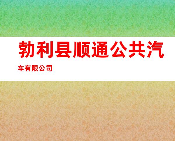 勃利县顺通公共汽车有限公司