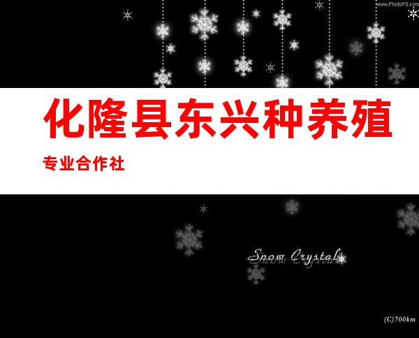 化隆县东兴种养殖专业合作社