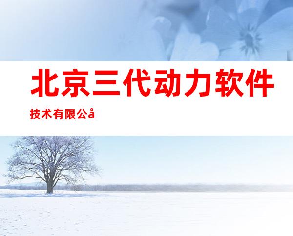 北京三代动力软件技术有限公司