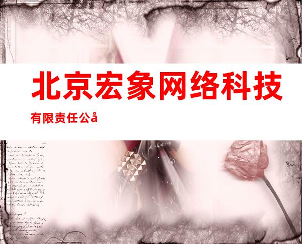 北京宏象网络科技有限责任公司