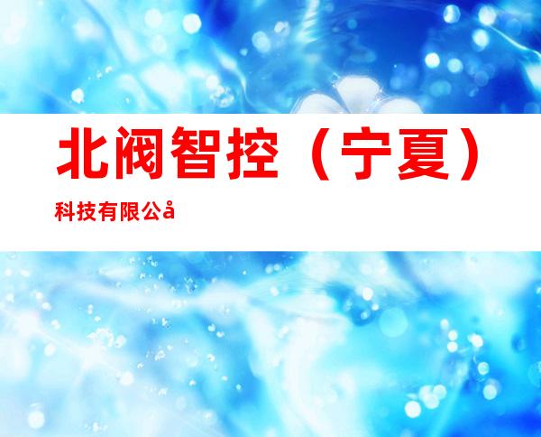 北阀智控(宁夏)科技有限公司