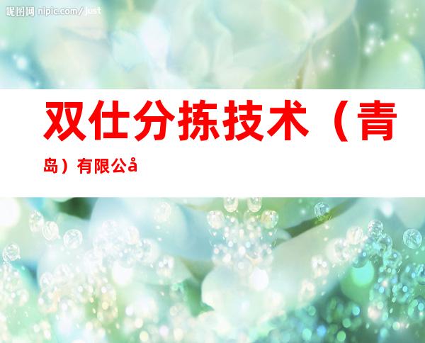双仕分拣技术（青岛）有限公司