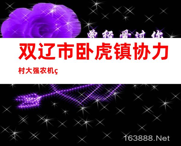 双辽市卧虎镇协力村大强农机种植专业合作社