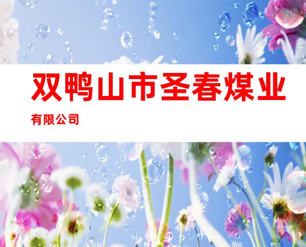 双鸭山市圣春煤业有限公司