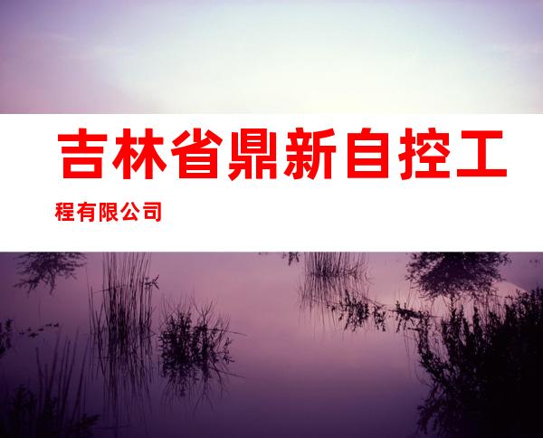 吉林省鼎新自控工程有限公司