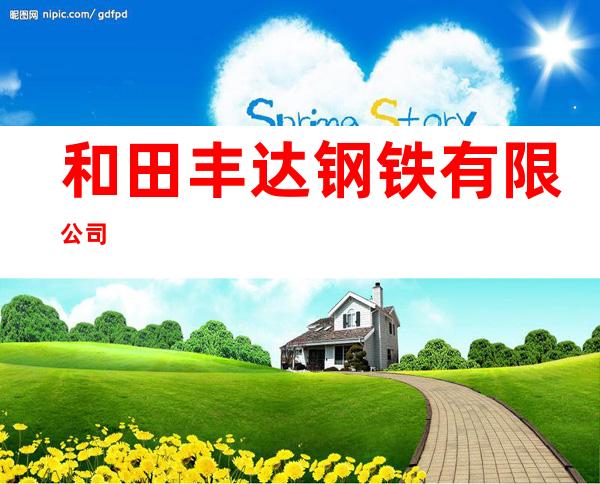 和田丰达钢铁有限公司