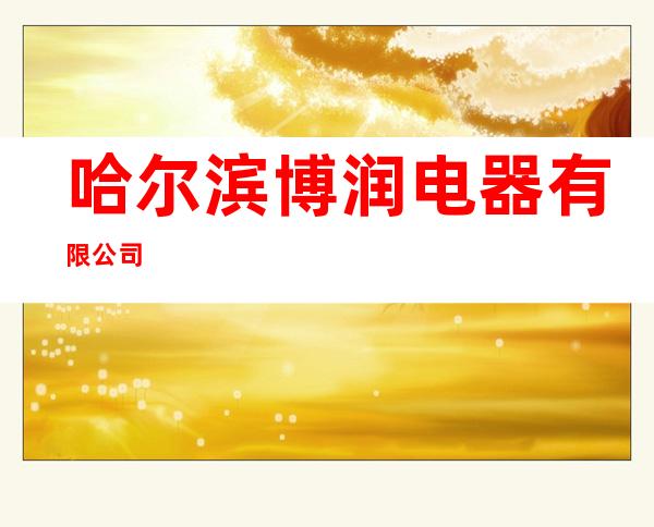 哈尔滨博润电器有限公司