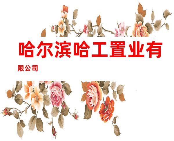哈尔滨哈工置业有限公司