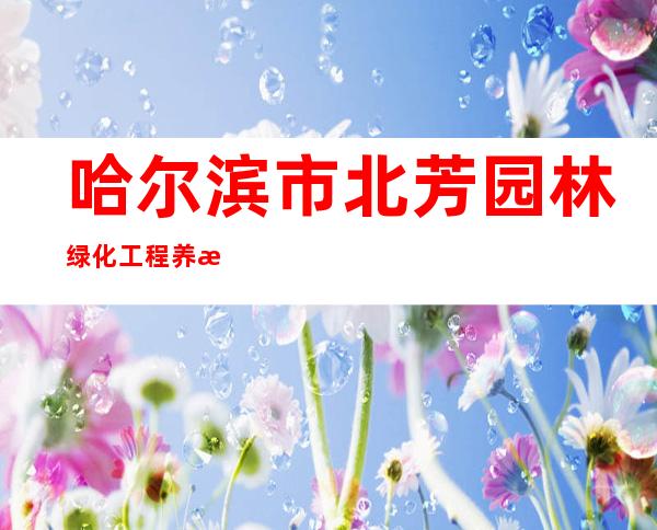 哈尔滨市北芳园林绿化工程养护有限公司