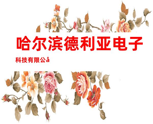 哈尔滨德利亚电子科技有限公司