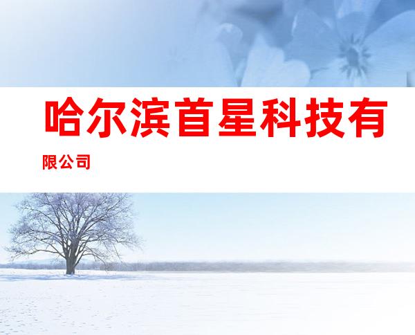 哈尔滨首星科技有限公司