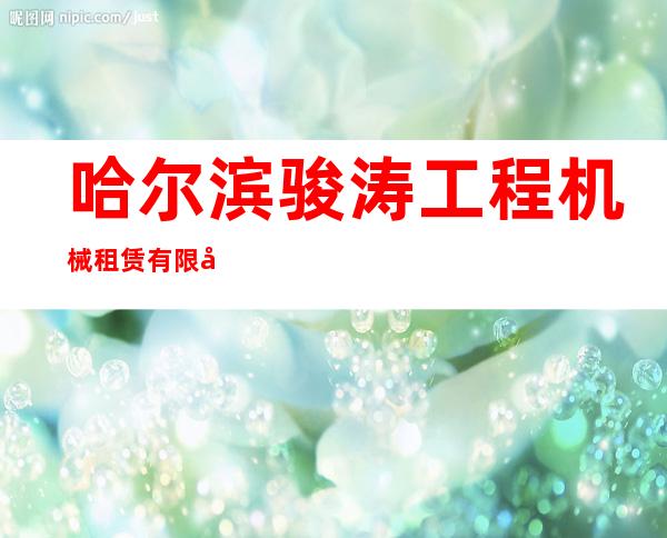 哈尔滨骏涛工程机械租赁有限公司