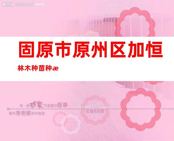 固原市原州区加恒林木种苗种植专业合作社