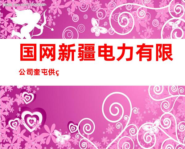 国网新疆电力有限公司奎屯供电公司