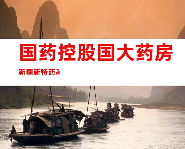 国药控股国大药房新疆新特药业连锁有限责任公司昌吉三分店