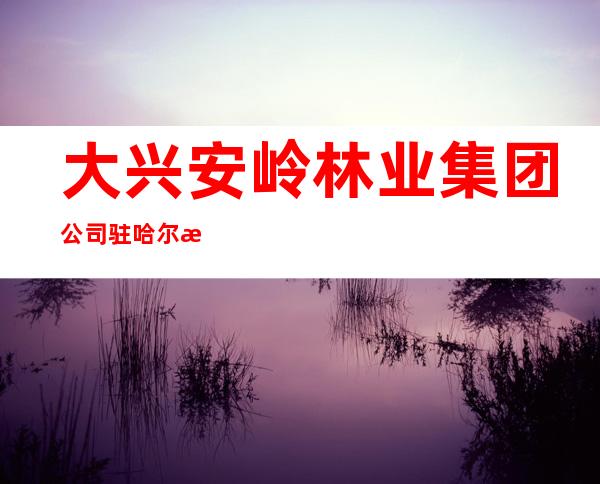 大兴安岭林业集团公司驻哈尔滨招待所
