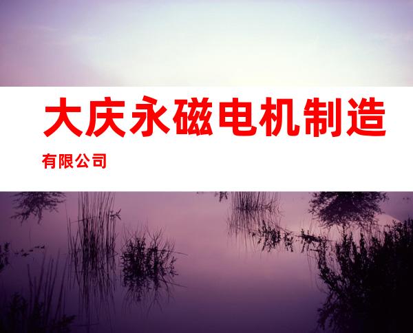 大庆永磁电机制造有限公司