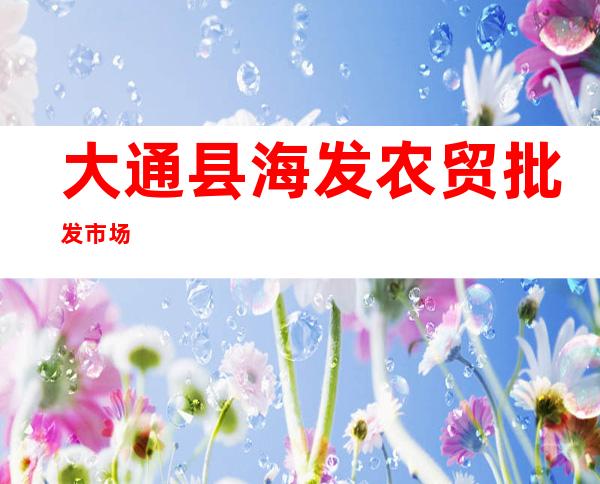 大通县海发农贸批发市场