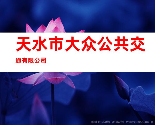 天水市大众公共交通有限公司
