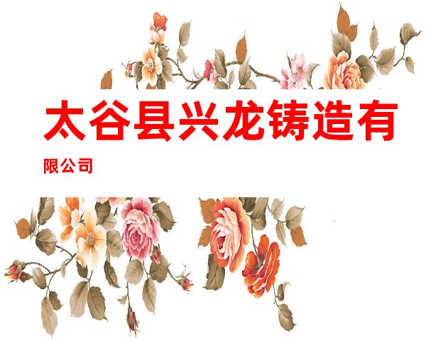 太谷县兴龙铸造有限公司
