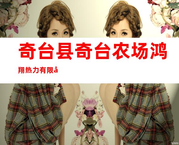 奇台县奇台农场鸿翔热力有限公司