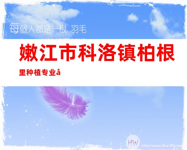 嫩江市科洛镇柏根里种植专业合作社