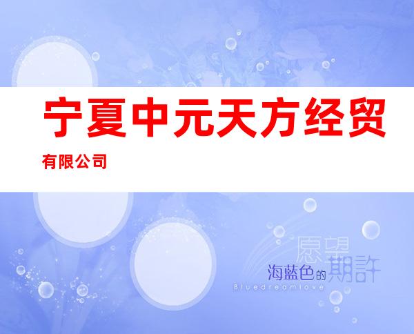 宁夏中元天方经贸有限公司
