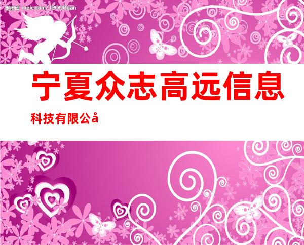 宁夏众志高远信息科技有限公司