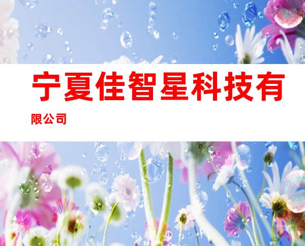 宁夏佳智星科技有限公司