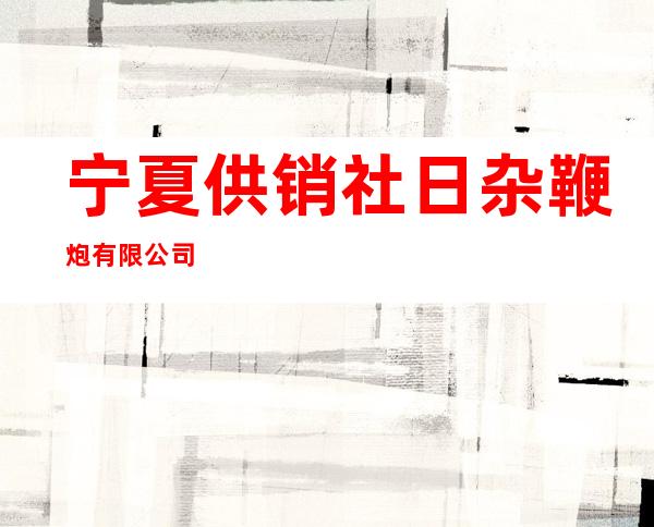 宁夏供销社日杂鞭炮有限公司