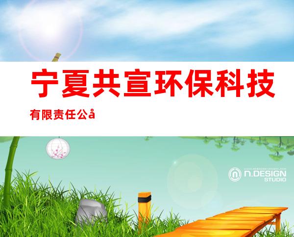 宁夏共宣环保科技有限责任公司