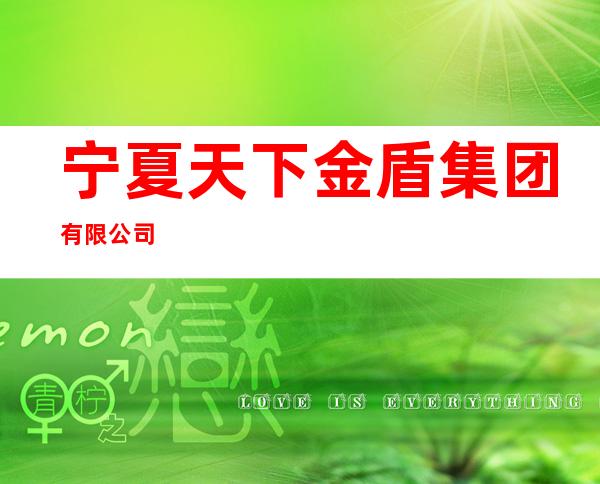 宁夏天下金盾集团有限公司
