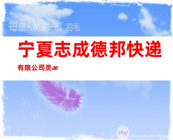 宁夏志成德邦快递有限公司灵武分公司