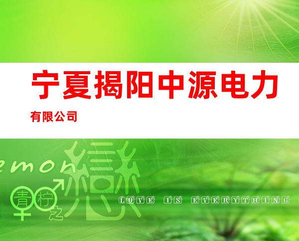 宁夏揭阳中源电力有限公司