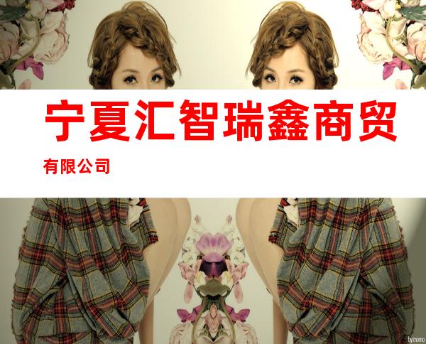 宁夏汇智瑞鑫商贸有限公司