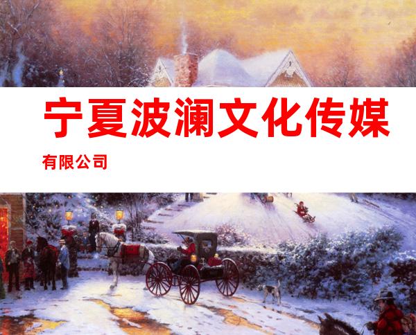 宁夏波澜文化传媒有限公司