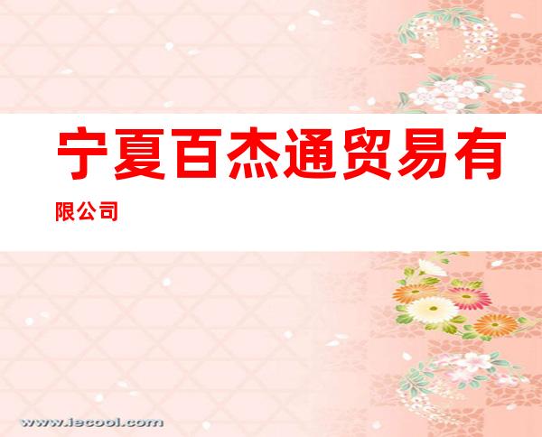 宁夏百杰通贸易有限公司