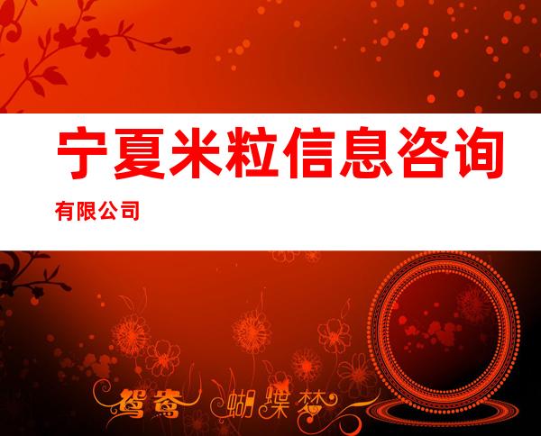 宁夏米粒信息咨询有限公司