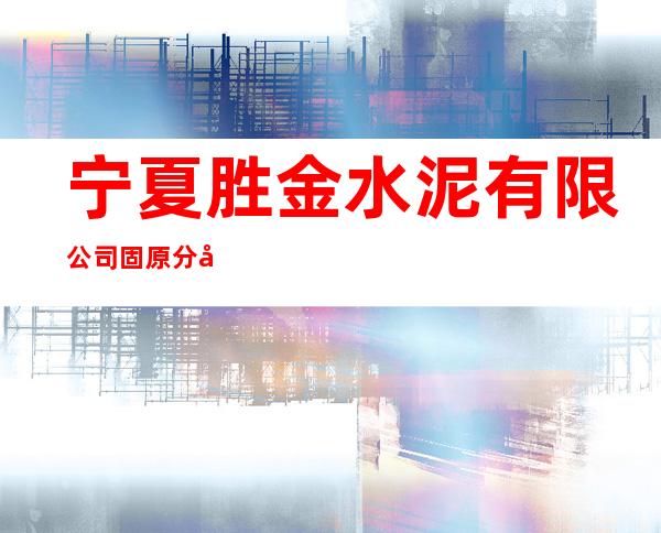 宁夏胜金水泥有限公司固原分公司