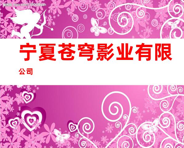 宁夏苍穹影业有限公司