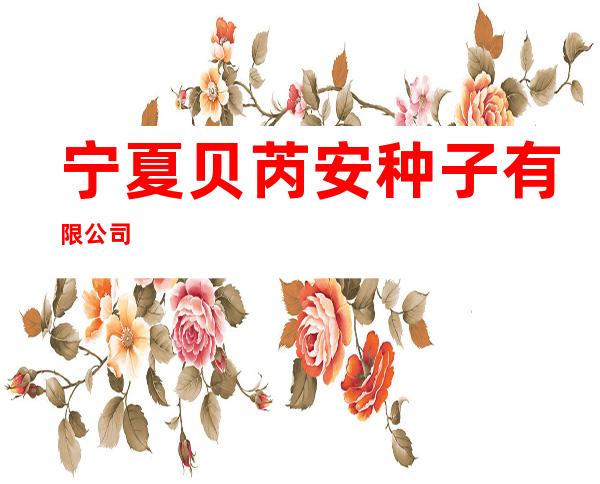 宁夏贝芮安种子有限公司