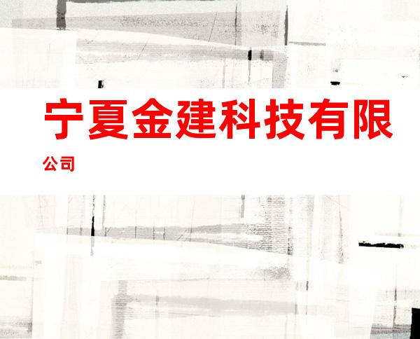 宁夏金建科技有限公司