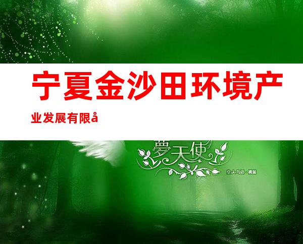 宁夏金沙田环境产业发展有限公司