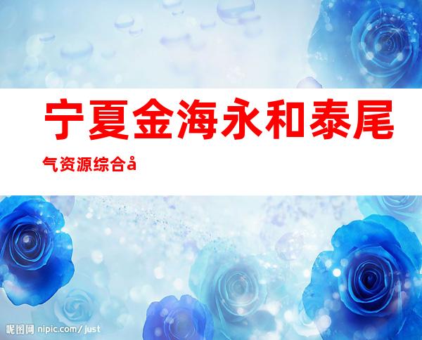宁夏金海永和泰尾气资源综合利用发电有限责任公司