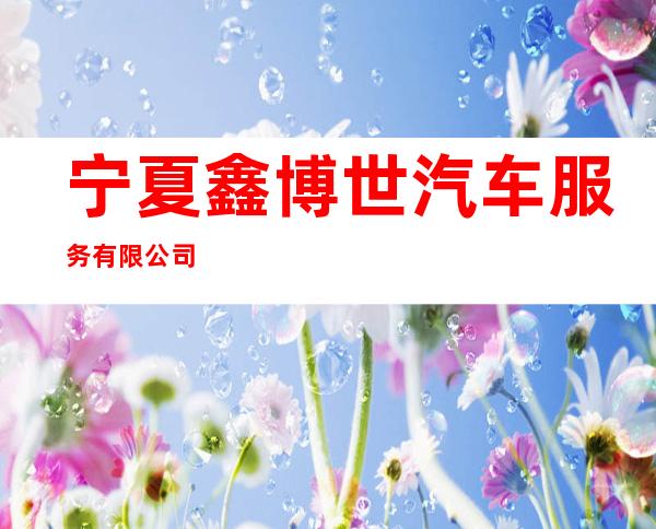 宁夏鑫博世汽车服务有限公司
