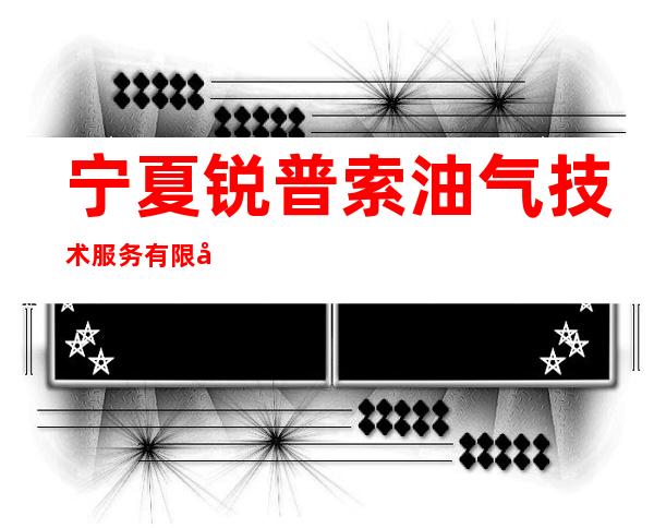 宁夏锐普索油气技术服务有限公司