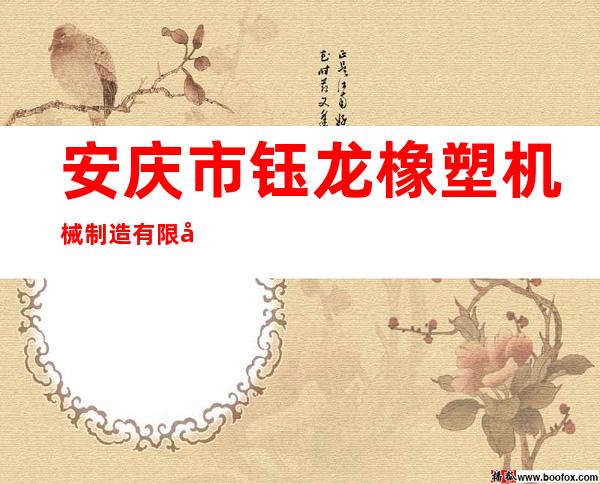 安庆市钰龙橡塑机械制造有限公司