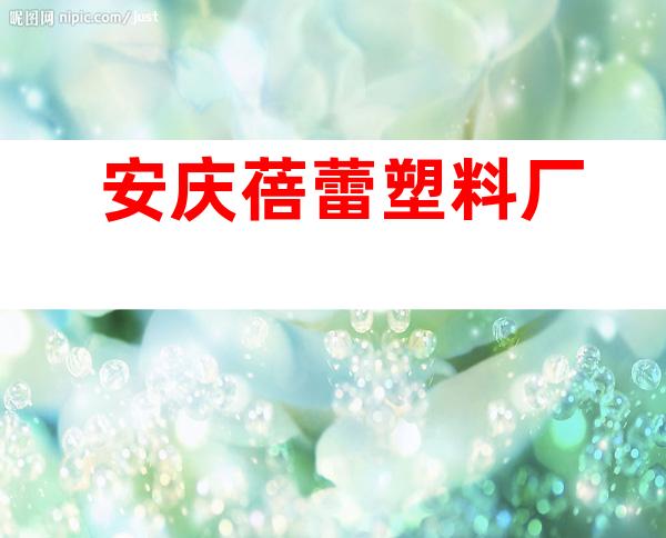 安庆蓓蕾塑料厂