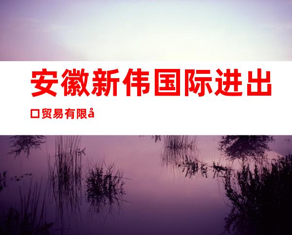 安徽新伟国际进出口贸易有限公司